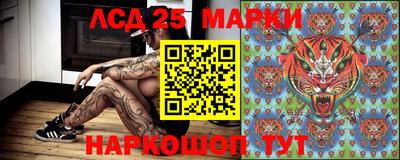 прущие грибы Балаково
