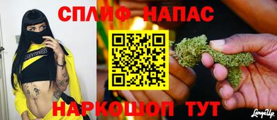 прущие грибы Балаково