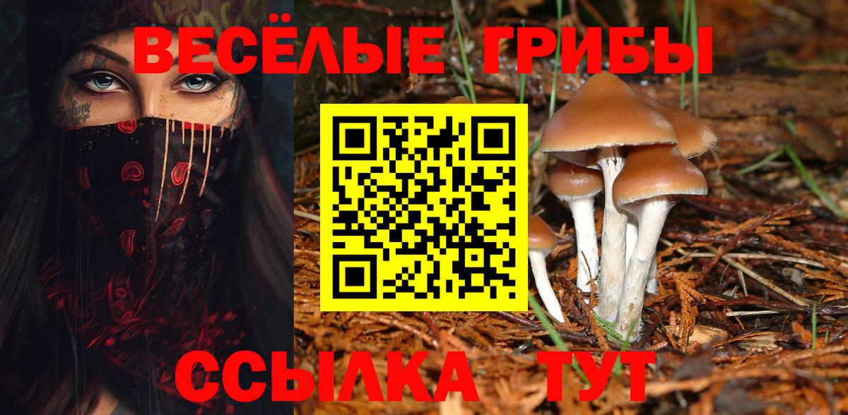 Галлюциногенные грибы прущие грибы  Балтийск 