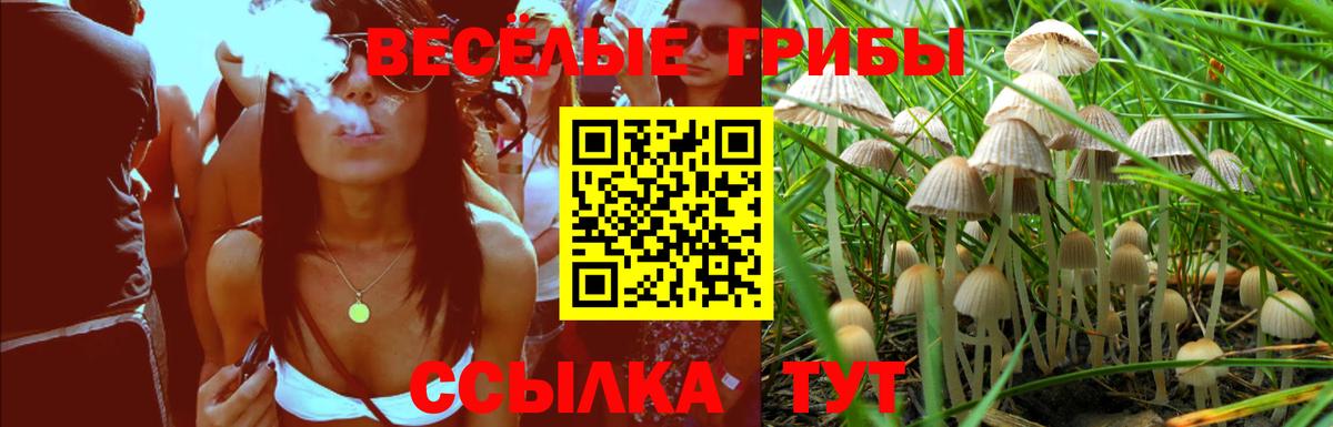 Балтийск  МДМА  СОЛЬ CK  МЕФ  25-NBOMe  Марихуана  Купить наркотики цена  Вход с VPN  Каннабис  Кокаин 