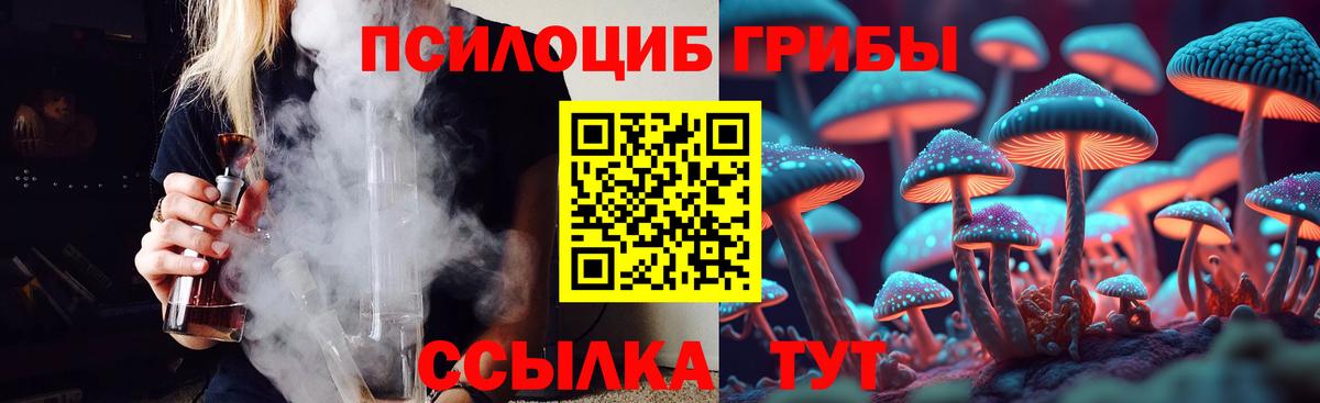 Галлюциногенные грибы MAGIC MUSHROOMS Балтийск
